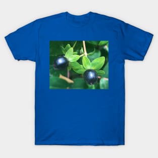 Teeny Tiny Berries T-Shirt